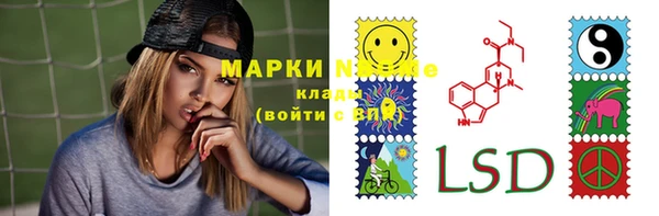 прущие грибы Вязьма