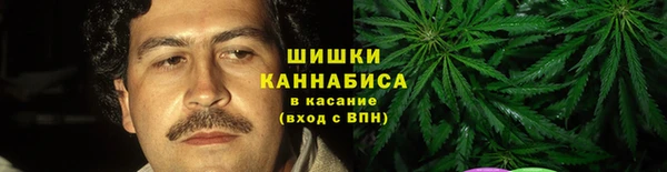 прущие грибы Вязьма