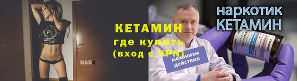 прущие грибы Вязьма