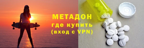 прущие грибы Вязьма