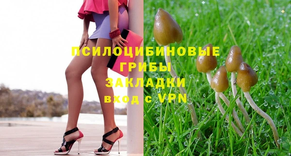 прущие грибы Вязьма