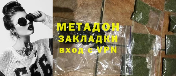 прущие грибы Вязьма