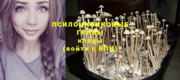 прущая мука Вязники