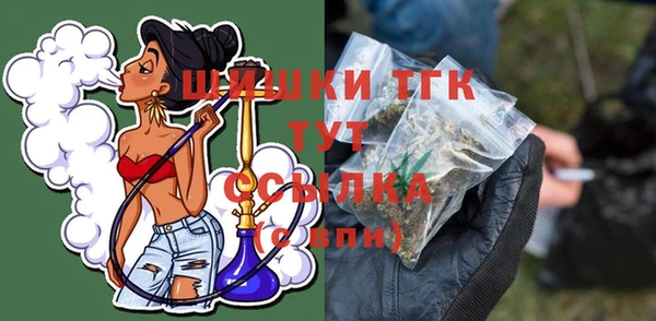 прущие грибы Вязьма