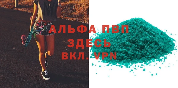 прущие грибы Вязьма