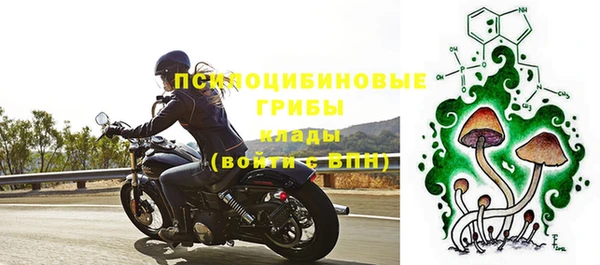 a pvp Вяземский