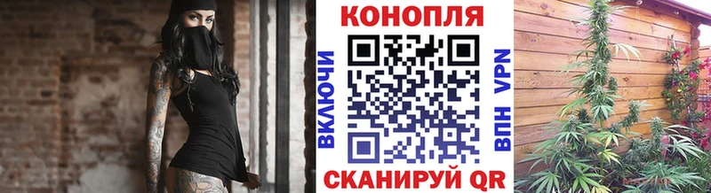 Каннабис индика Снежинск