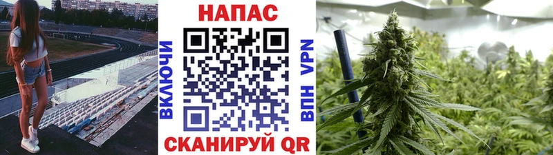 Шишки марихуана гибрид  Снежинск 